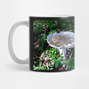 Poisonous Drapery Mug